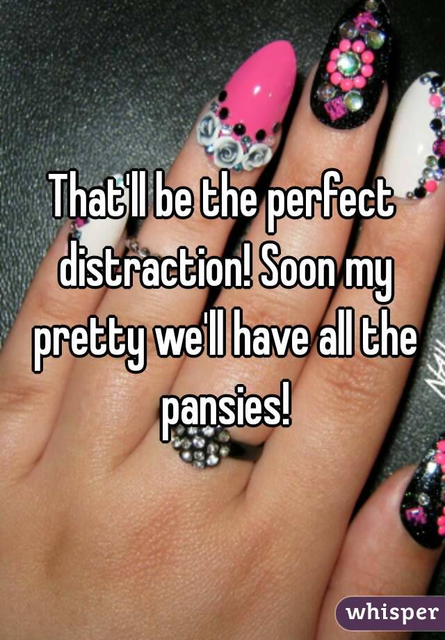 That'll be the perfect distraction! Soon my pretty we'll have all the pansies!