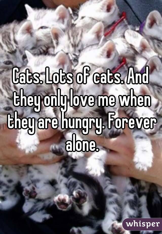 Cats. Lots of cats. And they only love me when they are hungry. Forever alone.