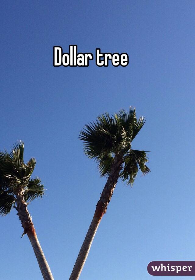 Dollar tree