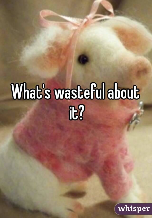 What's wasteful about it?