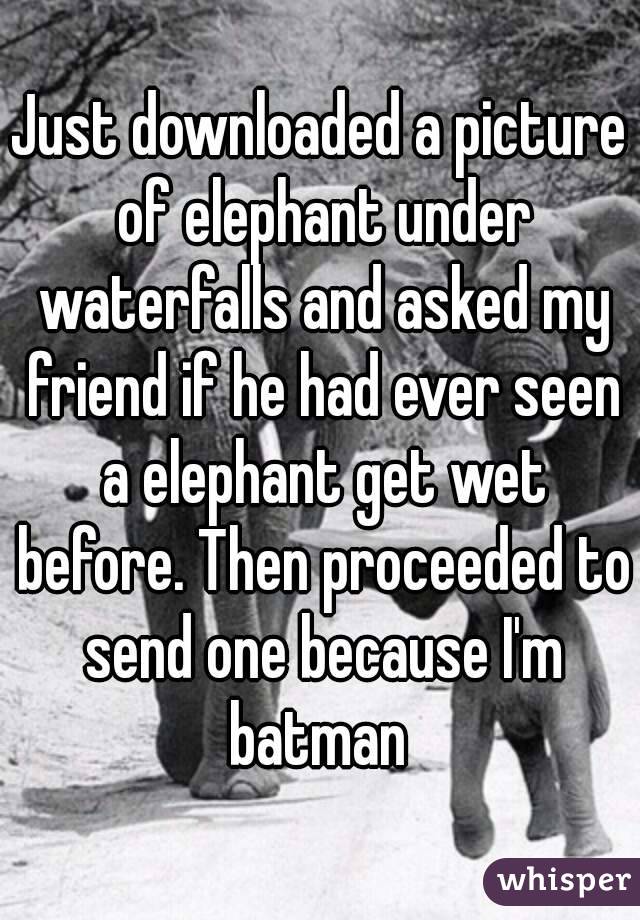 Just downloaded a picture of elephant under waterfalls and asked my friend if he had ever seen a elephant get wet before. Then proceeded to send one because I'm batman 