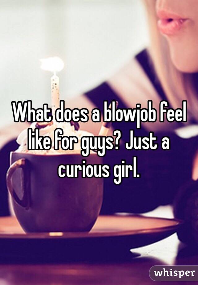 What does a blowjob feel like for guys? Just a curious girl.
