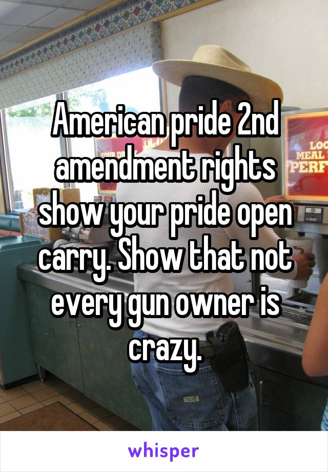 American pride 2nd amendment rights show your pride open carry. Show that not every gun owner is crazy.
