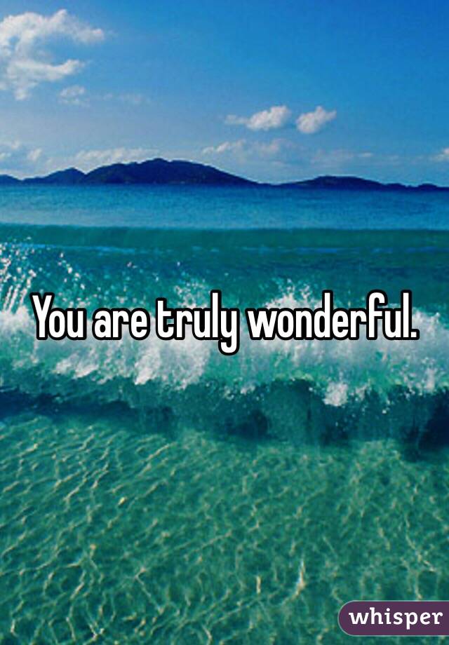 You are truly wonderful. 
