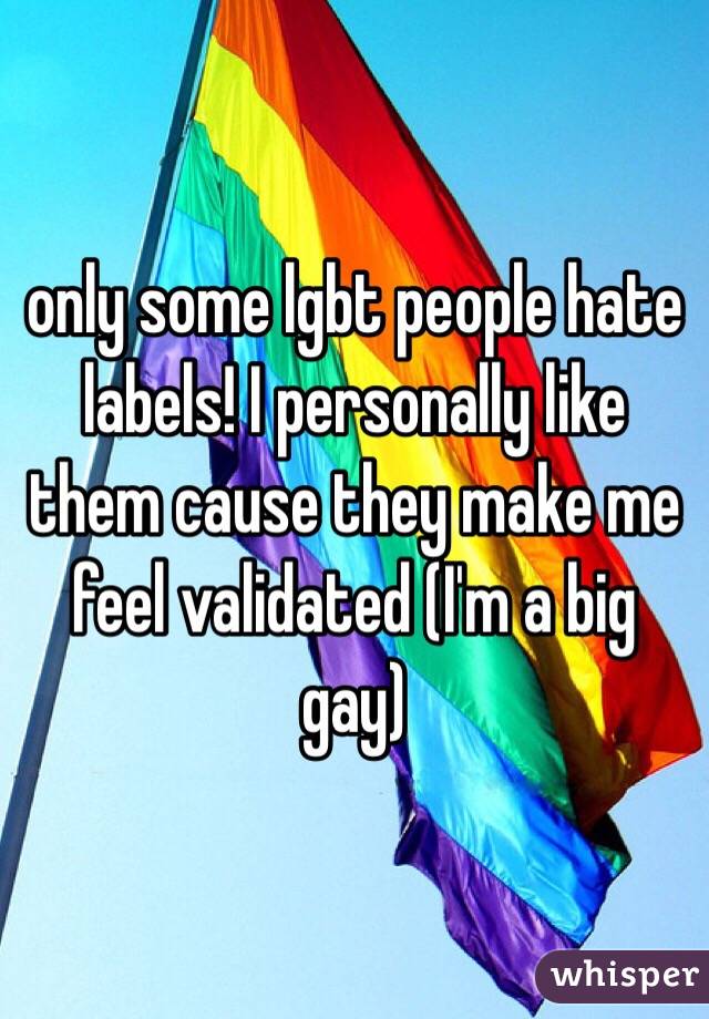 only some lgbt people hate labels! I personally like them cause they make me feel validated (I'm a big gay)