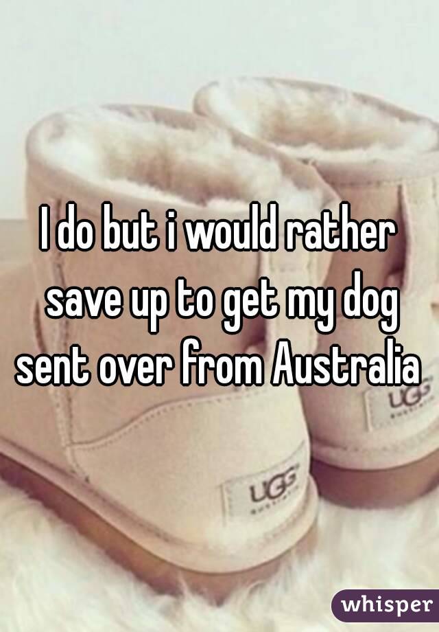 I do but i would rather save up to get my dog sent over from Australia 
