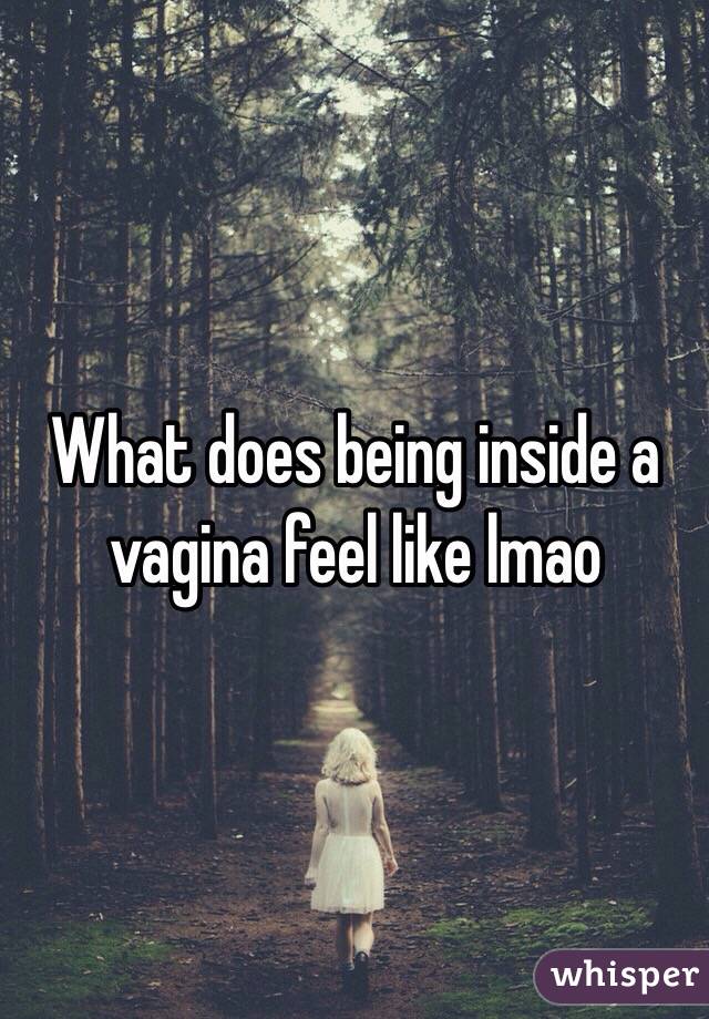 What does being inside a vagina feel like lmao