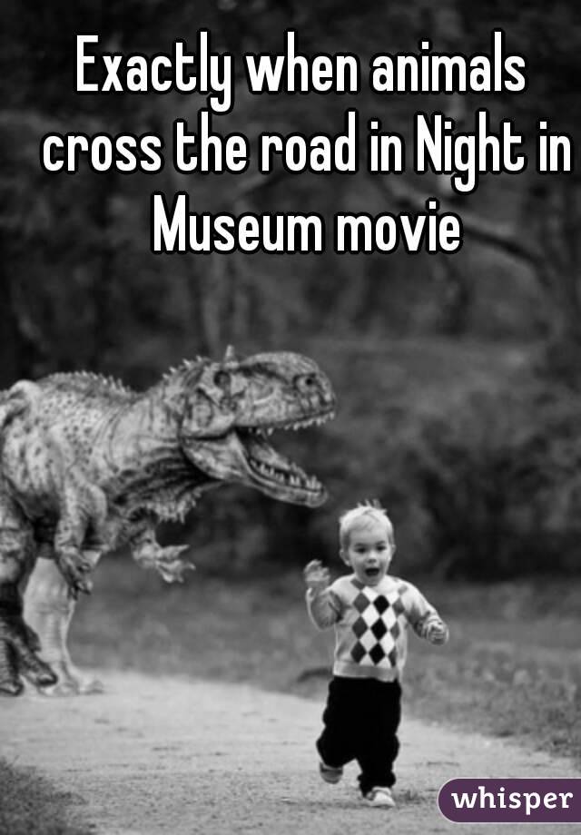 Exactly when animals cross the road in Night in Museum movie