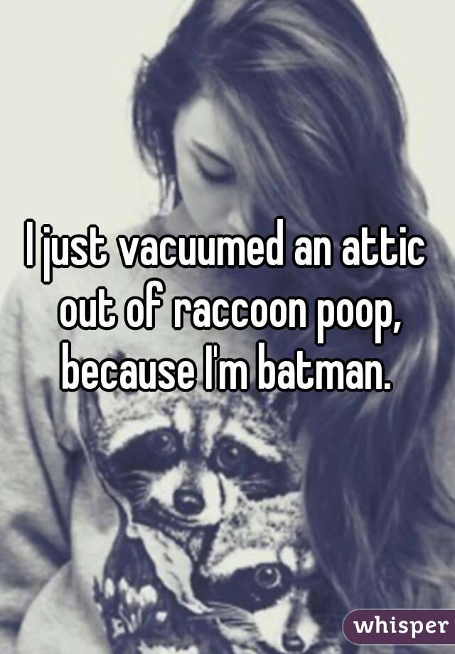 I just vacuumed an attic out of raccoon poop, because I'm batman. 