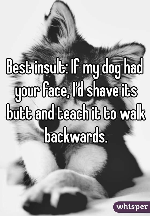 Best insult: If my dog had your face, I'd shave its butt and teach it to walk backwards.