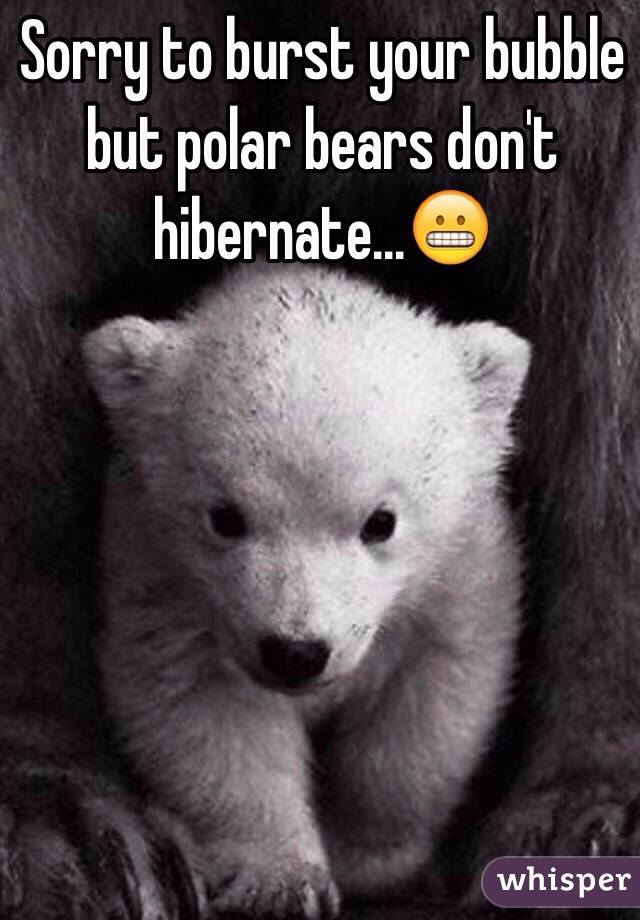 Sorry to burst your bubble but polar bears don't hibernate...😬