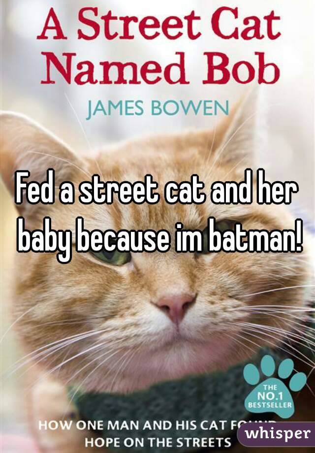 Fed a street cat and her baby because im batman!