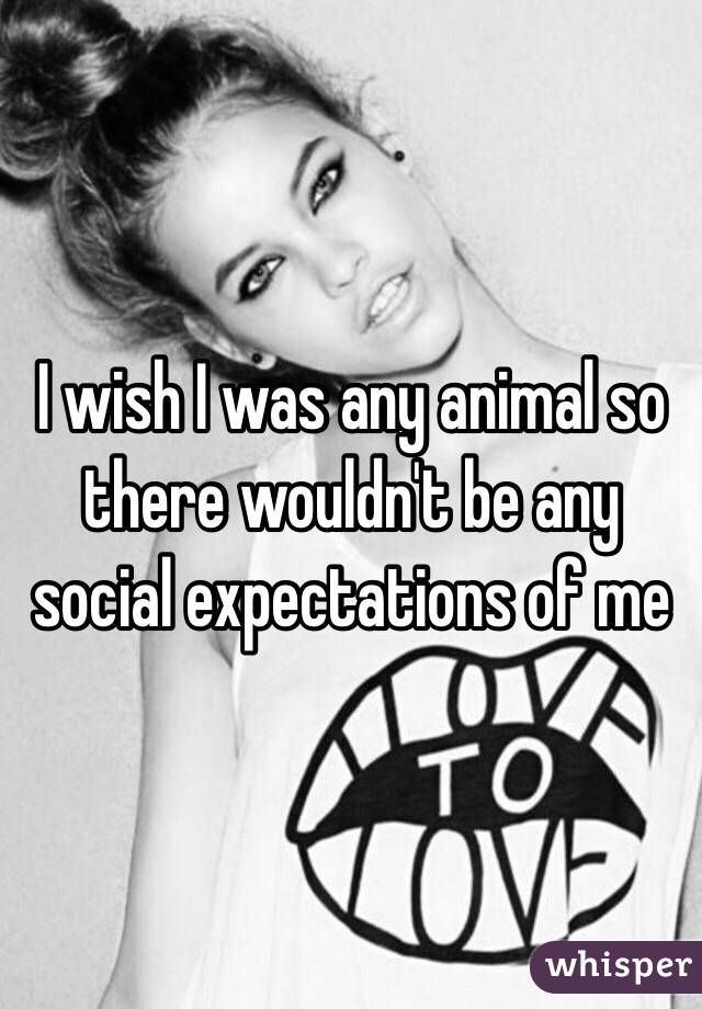I wish I was any animal so there wouldn't be any social expectations of me 