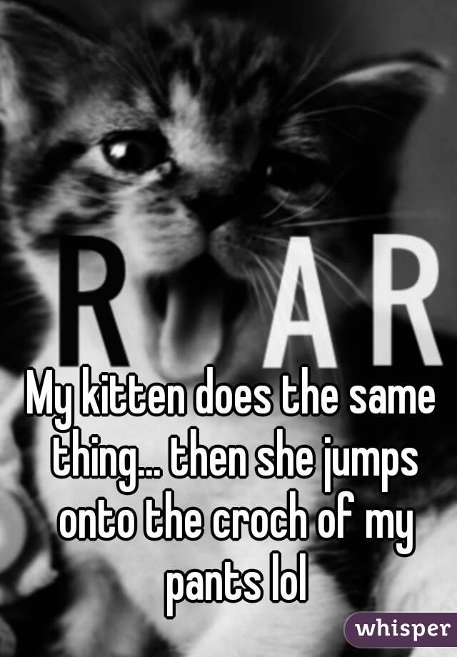 My kitten does the same thing... then she jumps onto the croch of my pants lol