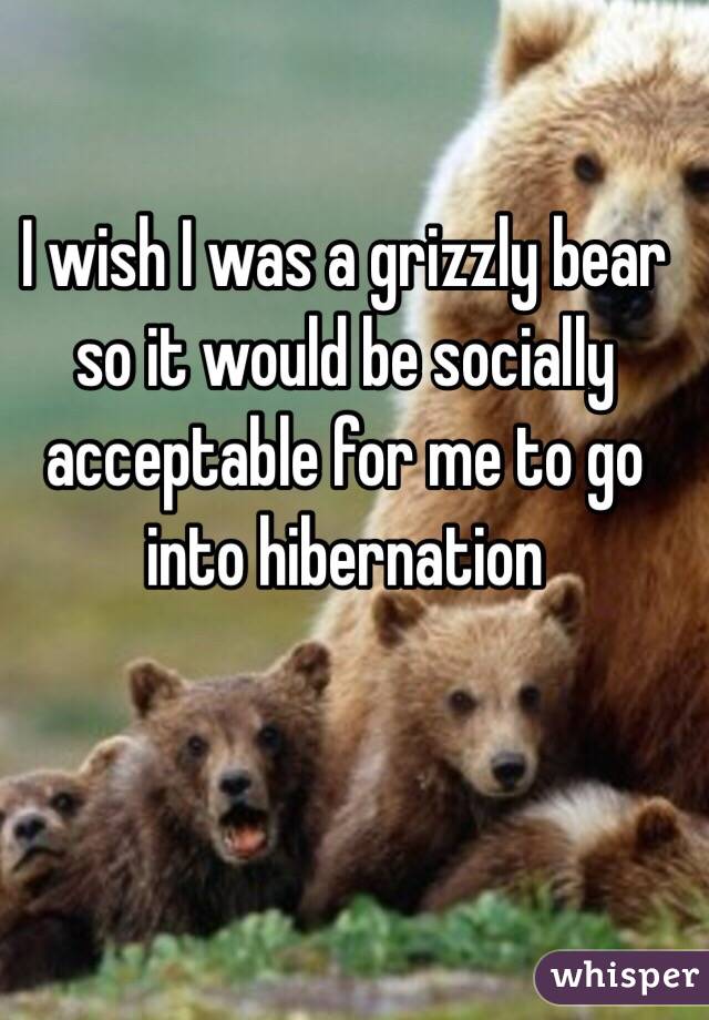 I wish I was a grizzly bear so it would be socially acceptable for me to go into hibernation