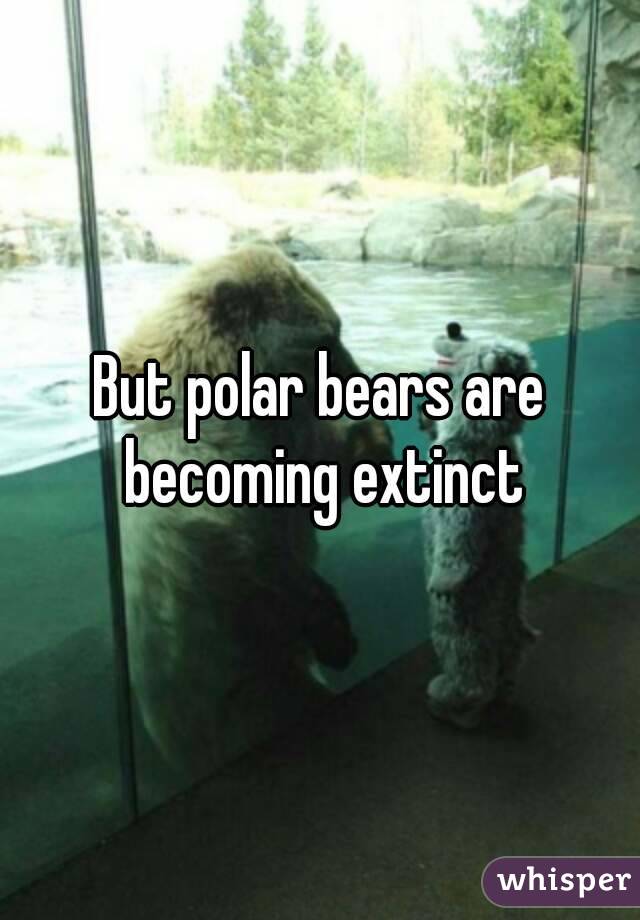 But polar bears are becoming extinct
