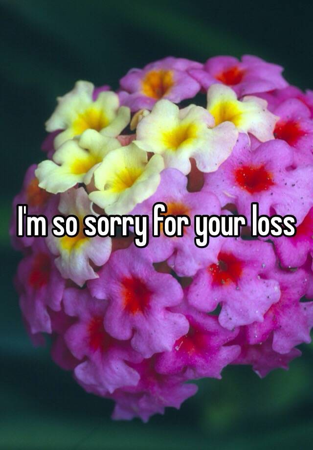 i-m-so-sorry-for-your-loss