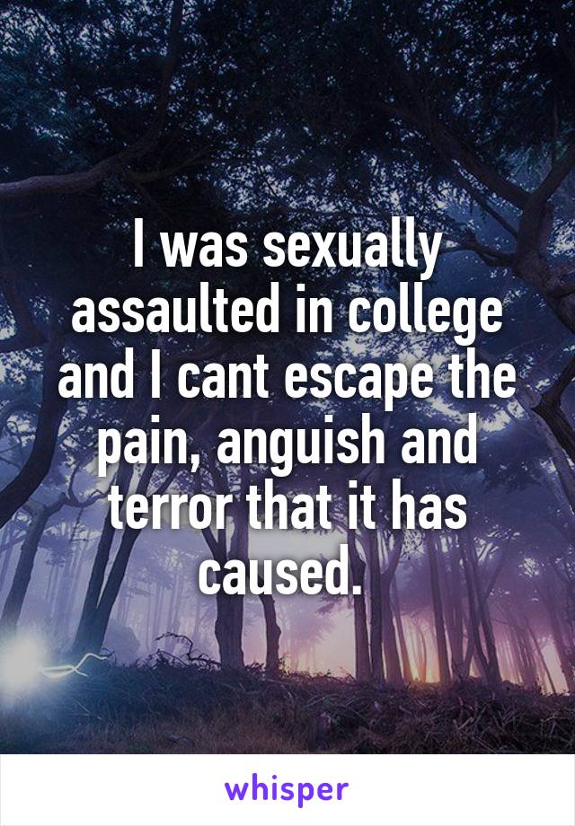 I was sexually assaulted in college and I cant escape the pain, anguish and terror that it has caused. 