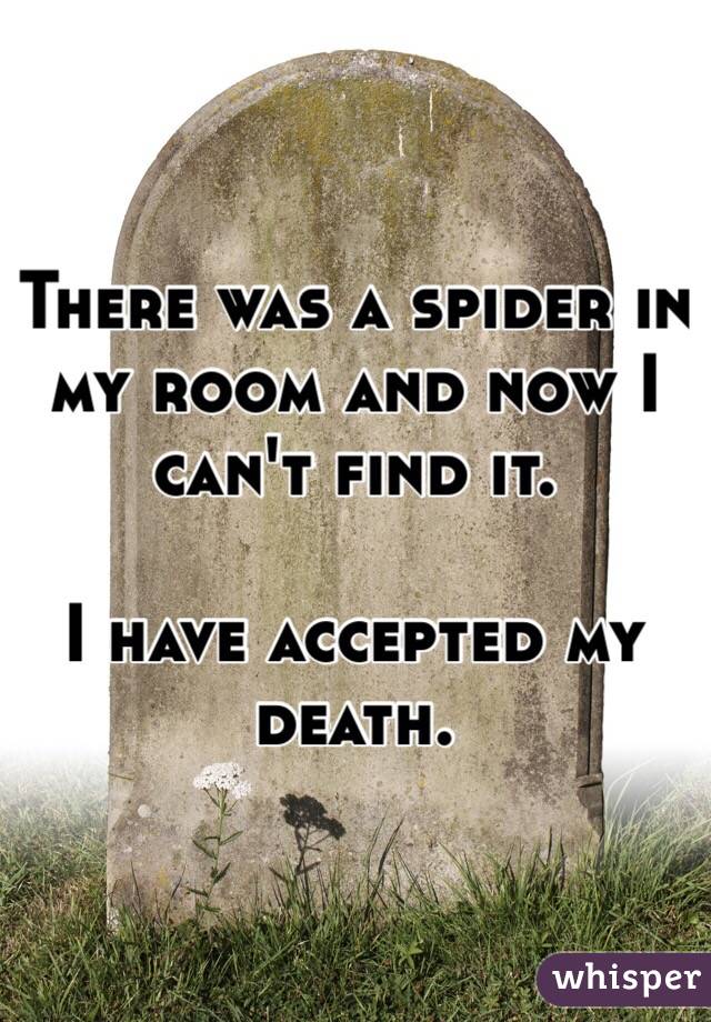 There was a spider in my room and now I can't find it.

I have accepted my death.