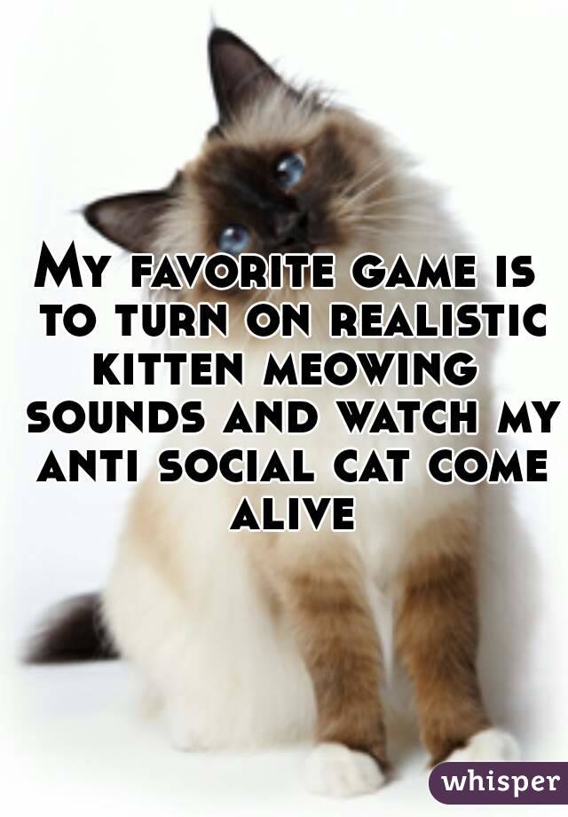 My favorite game is to turn on realistic kitten meowing  sounds and watch my anti social cat come alive