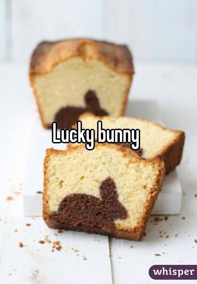 Lucky bunny 
