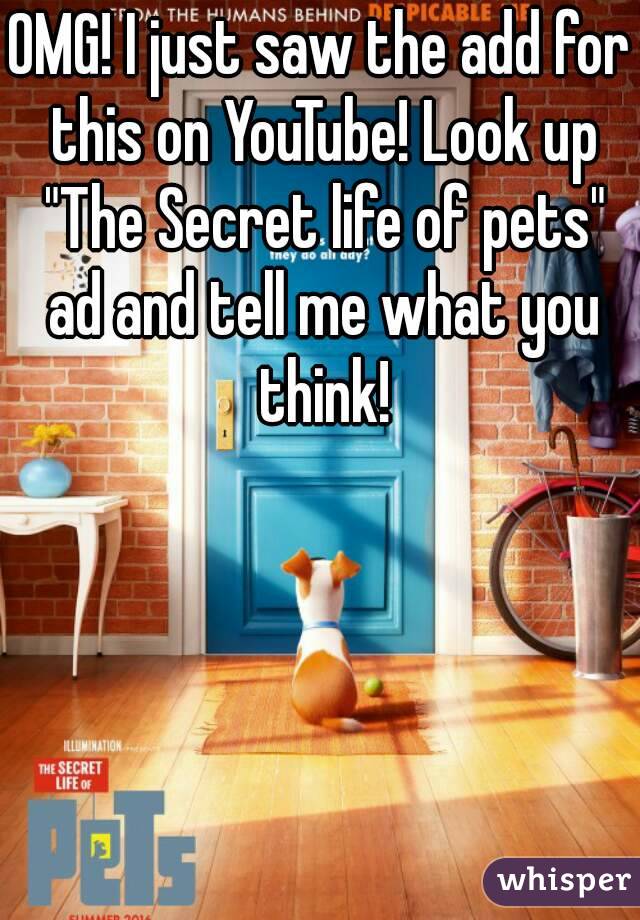 OMG! I just saw the add for this on YouTube! Look up "The Secret life of pets" ad and tell me what you think!