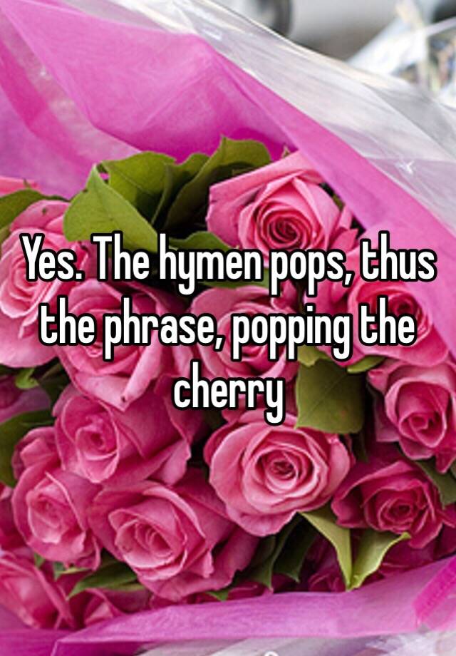 Yes The Hymen Pops Thus The Phrase Popping The Cherry