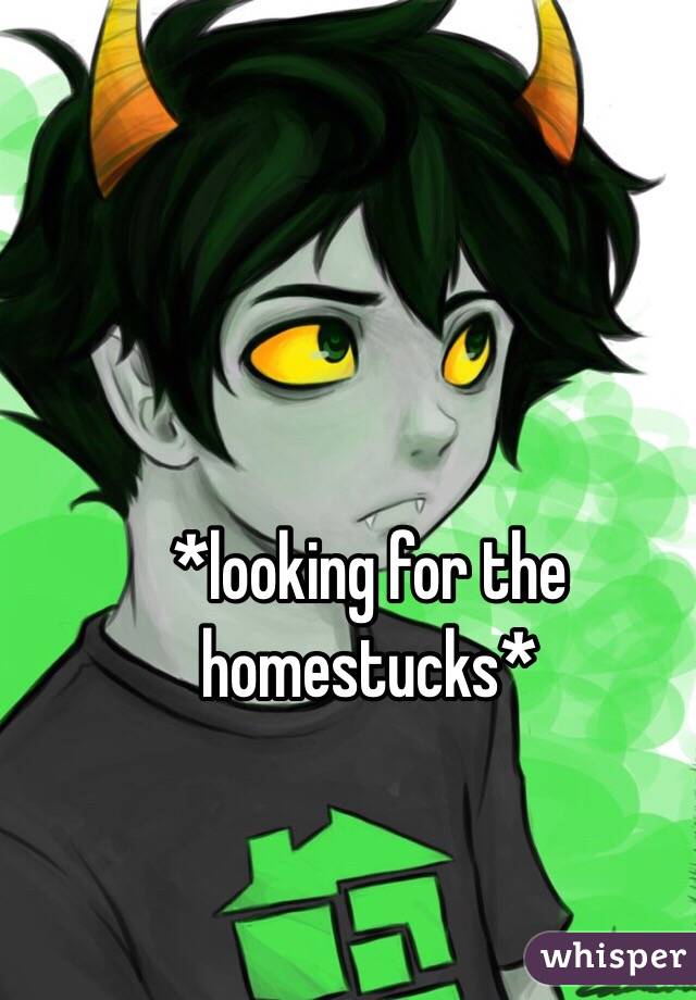 *looking for the homestucks*