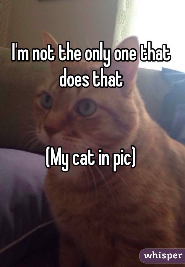 I'm not the only one that does that 


(My cat in pic)