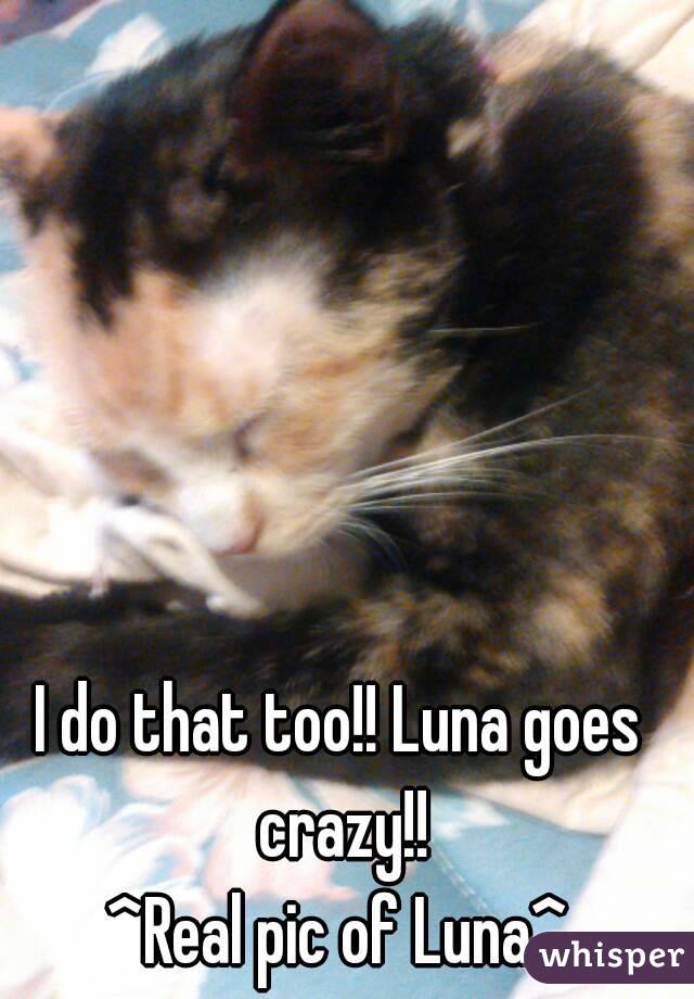 I do that too!! Luna goes crazy!!
^Real pic of Luna^