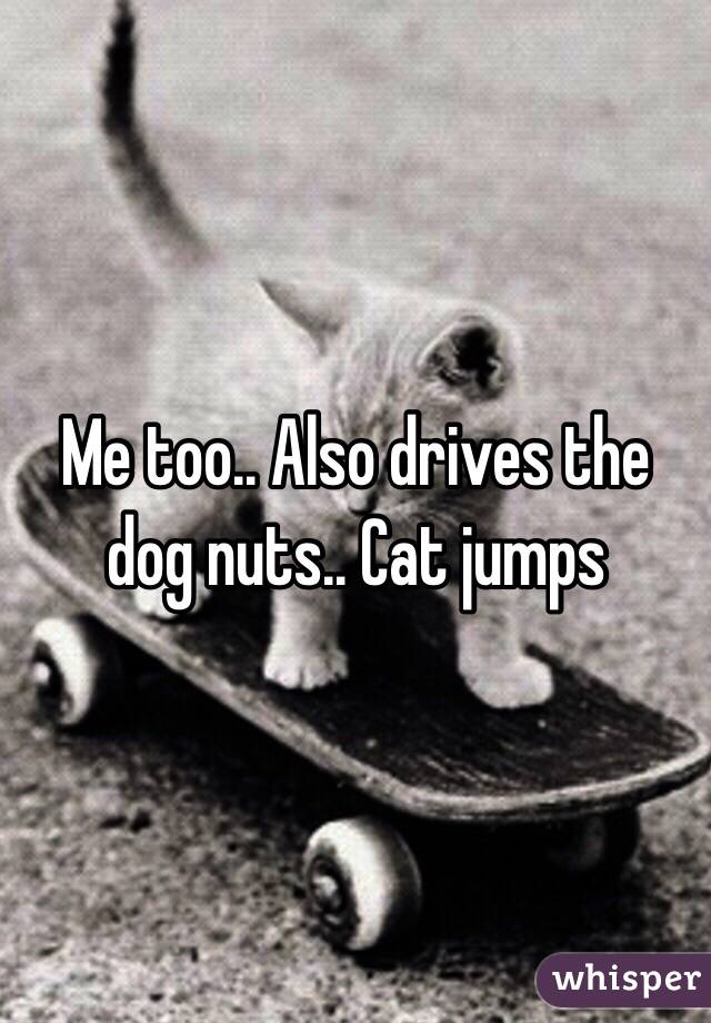 Me too.. Also drives the dog nuts.. Cat jumps 