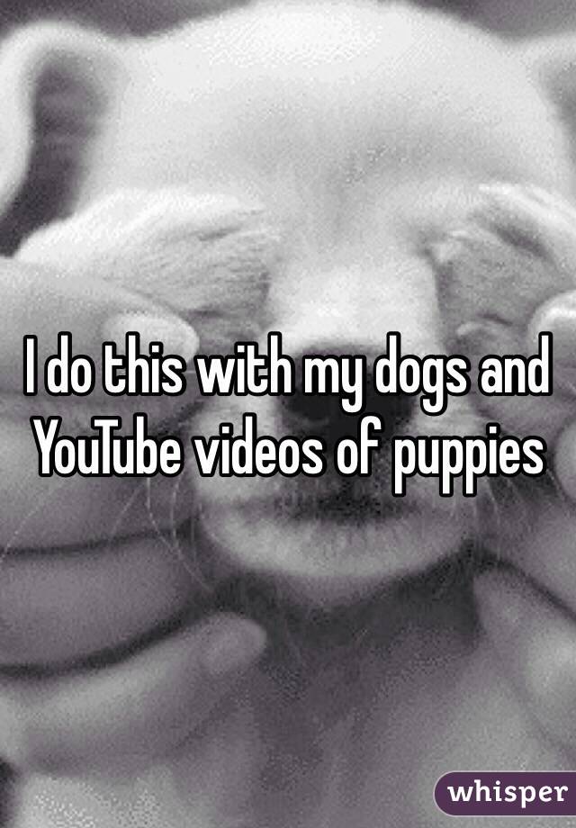 I do this with my dogs and YouTube videos of puppies