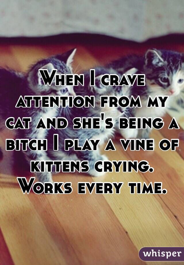 When I crave attention from my cat and she's being a bitch I play a vine of kittens crying. Works every time. 