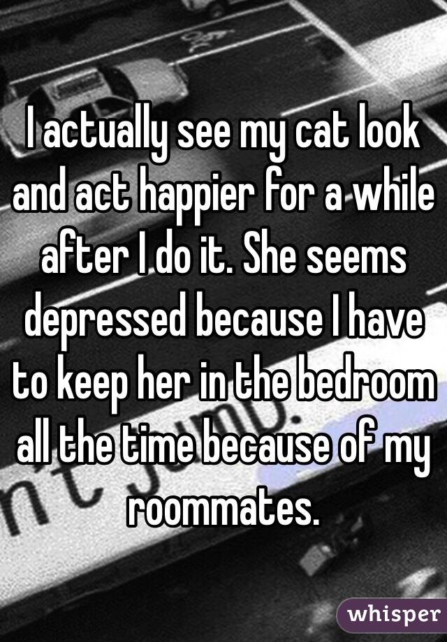 I actually see my cat look and act happier for a while after I do it. She seems depressed because I have to keep her in the bedroom all the time because of my roommates. 