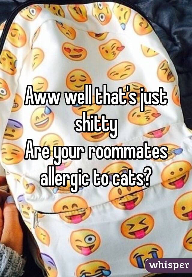 Aww well that's just shitty 
Are your roommates allergic to cats?