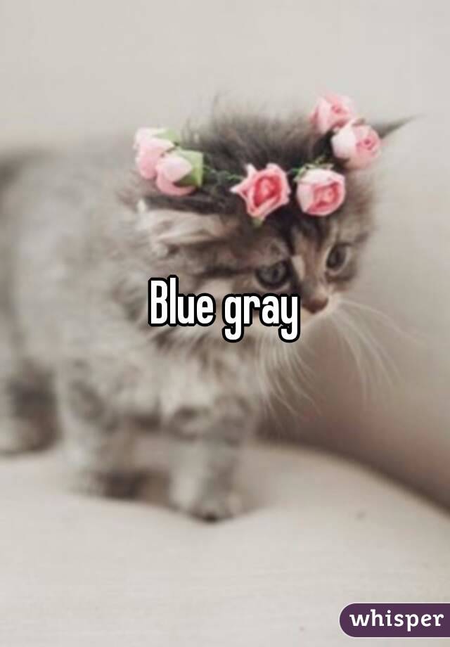 Blue gray