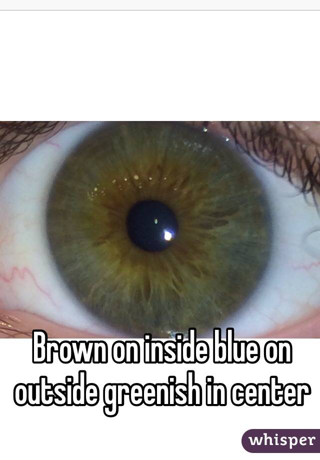 Brown on inside blue on outside greenish in center