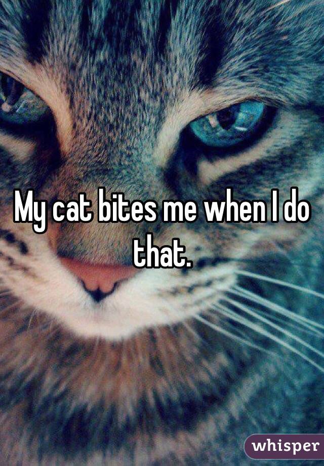My cat bites me when I do that.