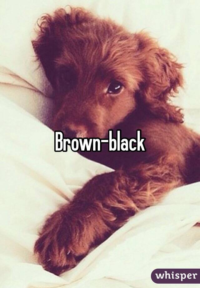 Brown-black