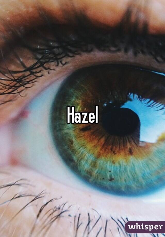 Hazel