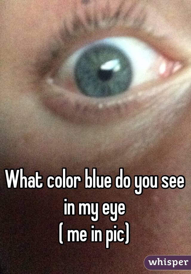 What color blue do you see in my eye
( me in pic)