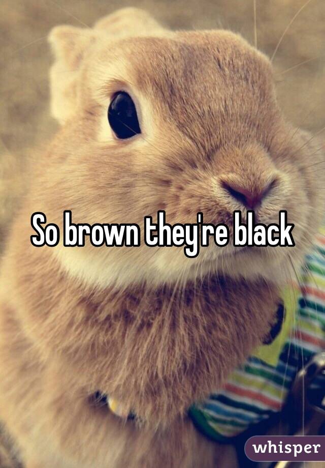 So brown they're black 