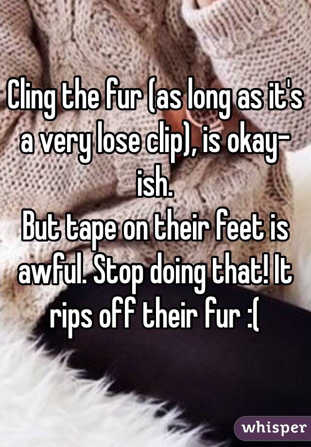 Cling the fur (as long as it's a very lose clip), is okay-ish. 
But tape on their feet is awful. Stop doing that! It rips off their fur :(