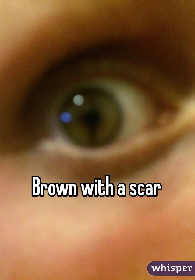 Brown with a scar
