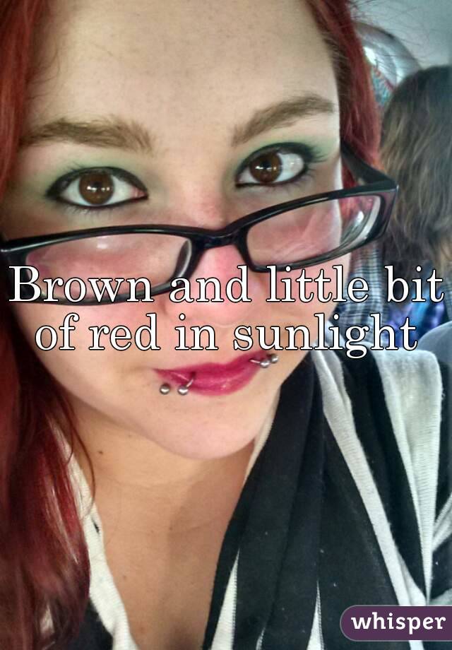 Brown and little bit of red in sunlight 