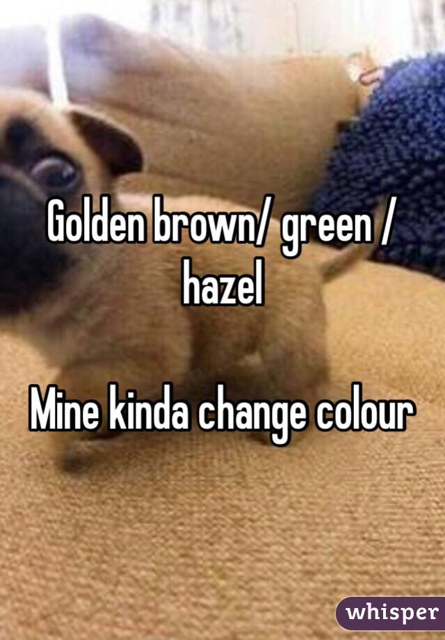 Golden brown/ green / hazel

Mine kinda change colour 