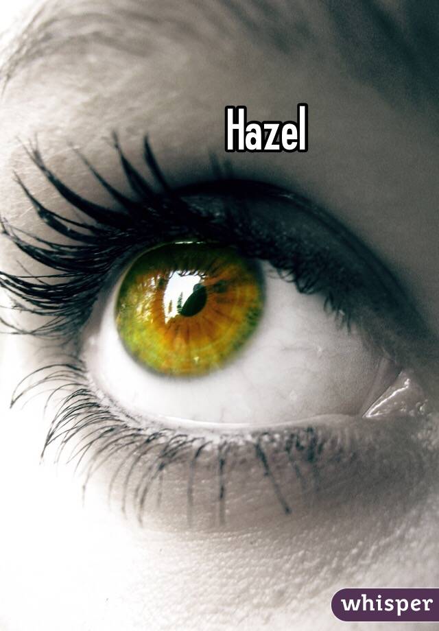 Hazel 