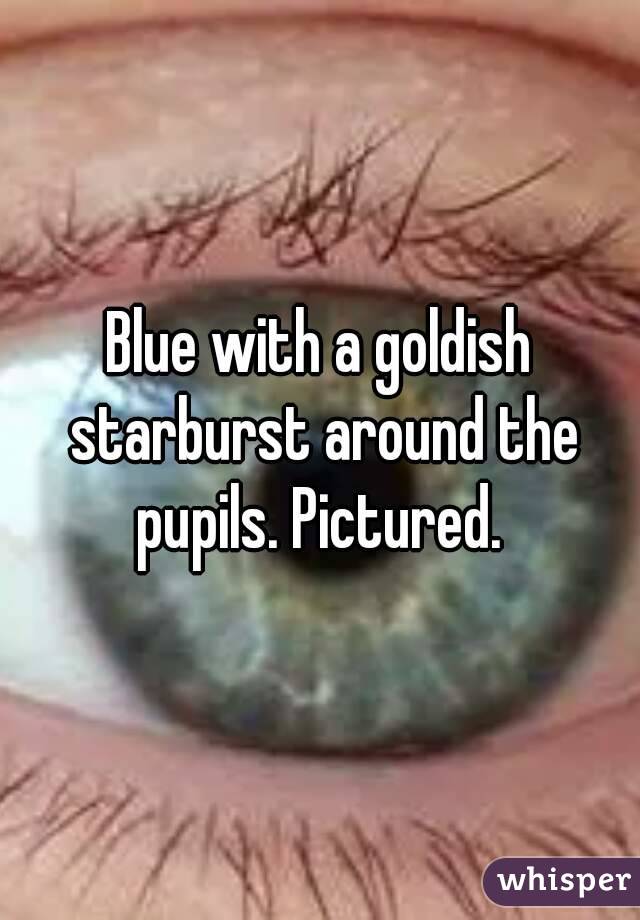 Blue with a goldish starburst around the pupils. Pictured. 