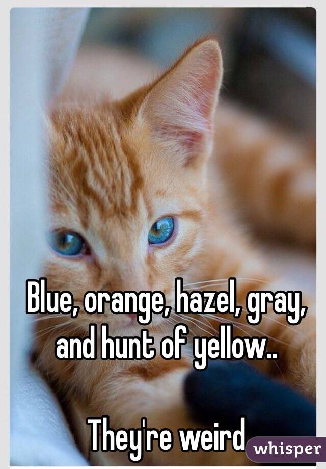 Blue, orange, hazel, gray, and hunt of yellow.. 

They're weird