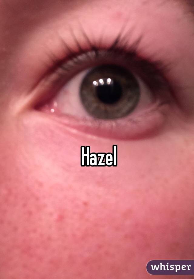 Hazel 